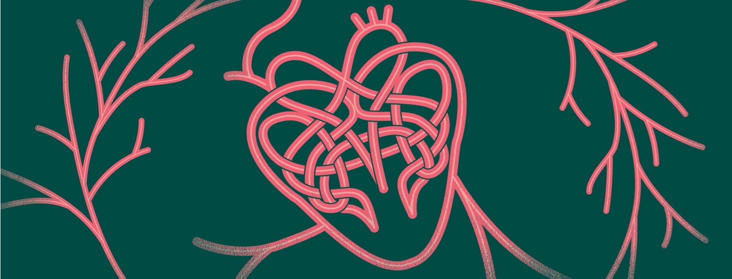 Heart Health Hub Promo Assets A Celtic knot that makes a heart with arteries and veins ties love connections intricate complex